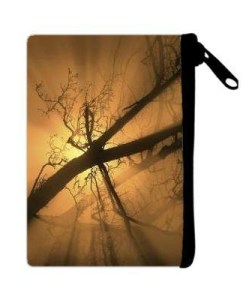 6e954db3f17717331e978e0ab25615c0_pvf1