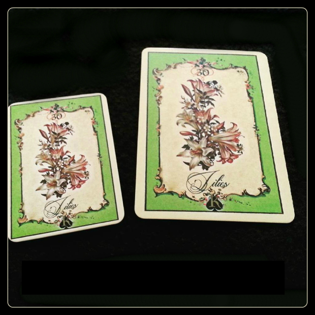 11692588_829474957147835_4101413184241283081_n